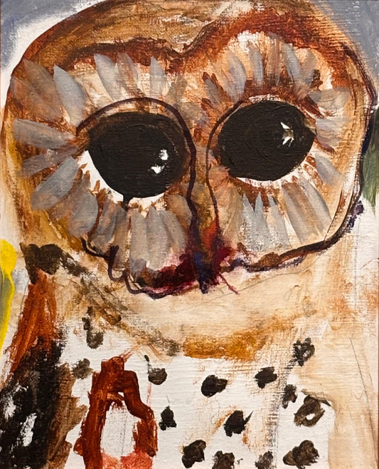 Spotted Owl